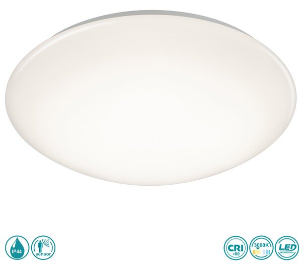 Φωτιστικό Οροφής Στεγανό RL Lighting Pollux R67839101