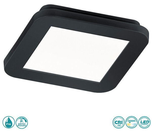 Φωτιστικό Οροφής Στεγανό RL Lighting Camillus R62931032 Μαύρο Ματ