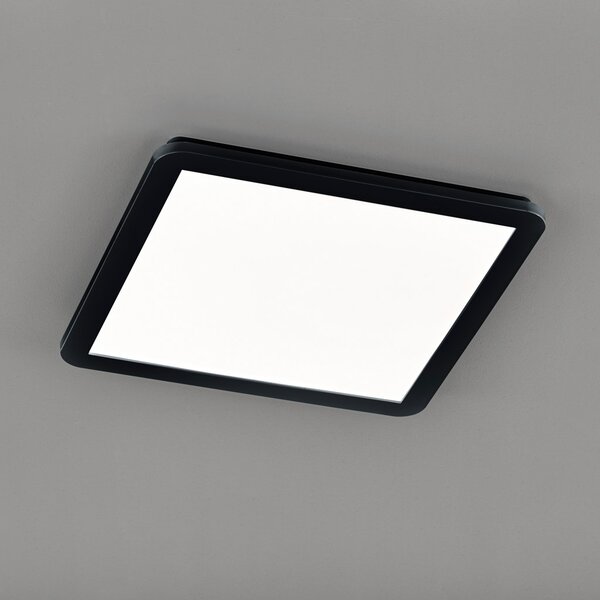 Φωτιστικό Οροφής Στεγανό RL Lighting Camillus R62932032 Μαύρο Ματ