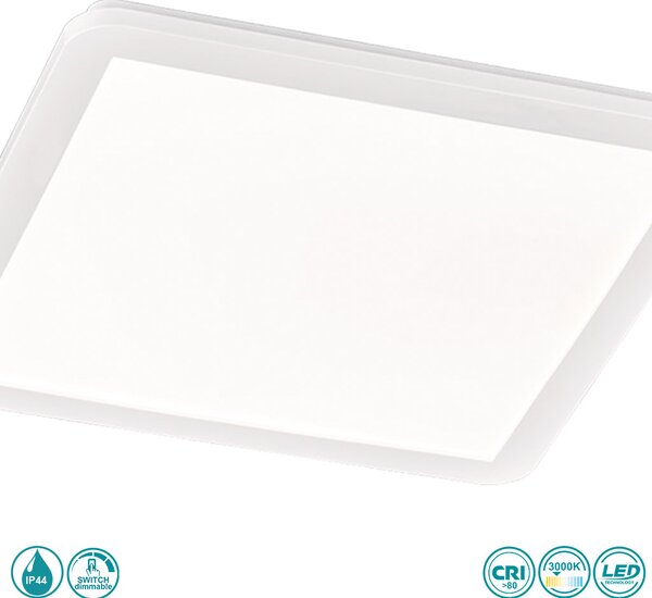 Φωτιστικό Οροφής Στεγανό RL Lighting Camillus R62932001 Λευκό