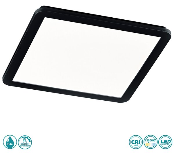 Φωτιστικό Οροφής Στεγανό RL Lighting Camillus R62932032 Μαύρο Ματ