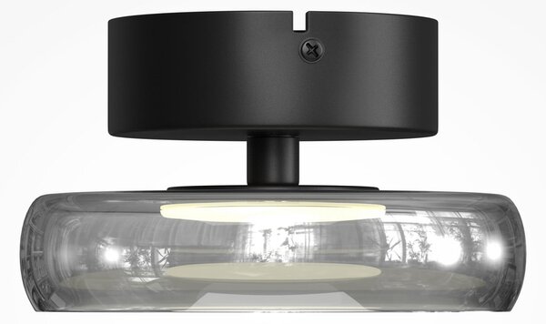 Maytoni Φωτιστικό οροφής LED FLOAT, γκρι/μαύρο, Ø 20 cm, γυαλί/μέταλλο, ρυθμιζόμενος, Γκρι, Σαλόνι / τραπεζαρία, Γυαλί, σύγχρονο