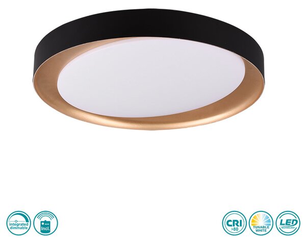 Φωτιστικό Οροφής RL Lighting Zeta R62712402 Μαύρο