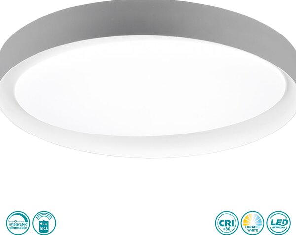 Φωτιστικό Οροφής RL Lighting Zeta R62712411 Γκρι