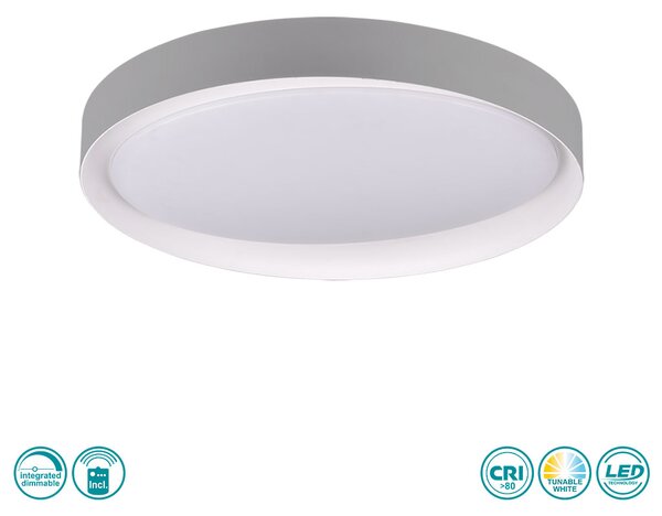 Φωτιστικό Οροφής RL Lighting Zeta R62712411 Γκρι