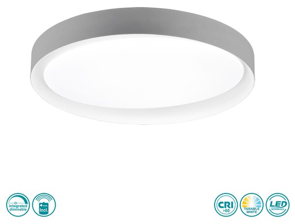 Φωτιστικό Οροφής RL Lighting Zeta R62712411 Γκρι