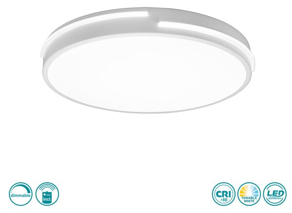 Φωτιστικό Οροφής RL Lighting Tacoma R62241131 Λευκό Ματ