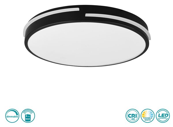 Φωτιστικό Οροφής RL Lighting Tacoma R62241132 Μαύρο Ματ