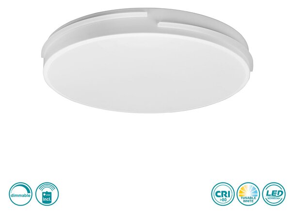 Φωτιστικό Οροφής RL Lighting Tacoma R62241131 Λευκό Ματ