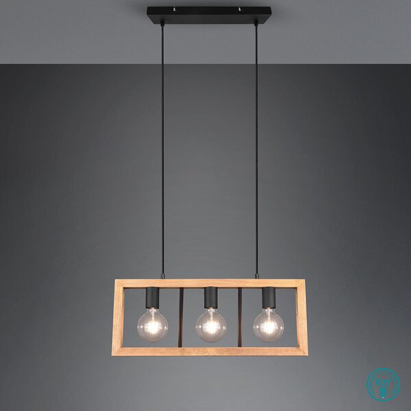 Φωτιστικό Κρεμαστό Ράγα Trio Lighting Agra 313800332