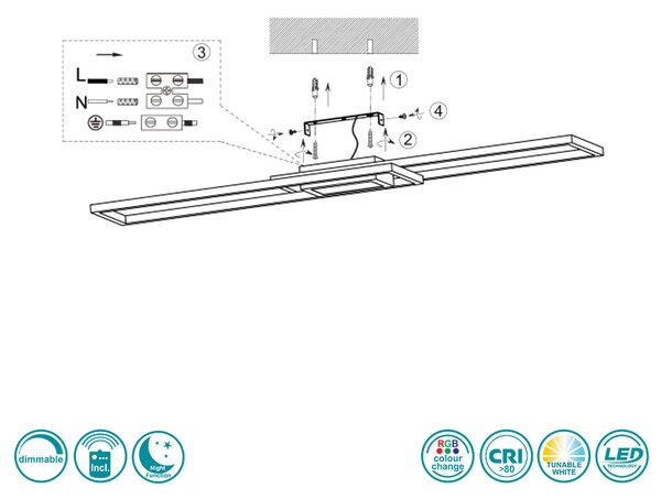 Φωτιστικό Οροφής Trio Lighting Ganado 670710532 Μαύρο Ματ