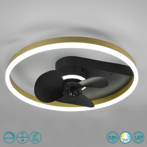 Ανεμιστήρας Οροφής RL Lighting Borgholm R67083132 Μαύρο Ματ με Φως