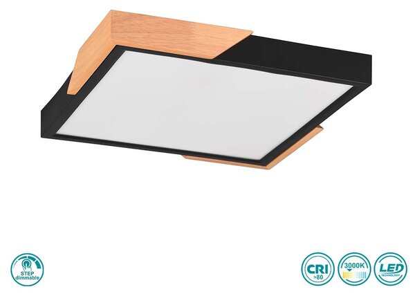 Φωτιστικό Οροφής RL Lighting Meta R67191132 Μαύρο Ματ