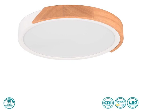 Φωτιστικό Οροφής RL Lighting Jano R67201131 Λευκό Ματ