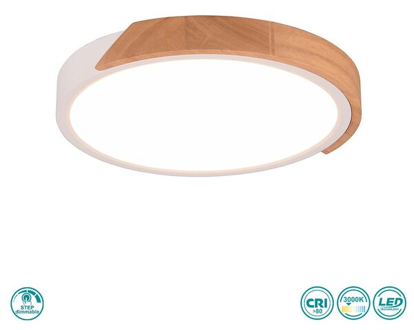 Φωτιστικό Οροφής RL Lighting Jano R67201131 Λευκό Ματ