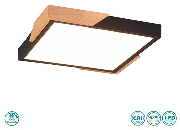 Φωτιστικό Οροφής RL Lighting Meta R67191132 Μαύρο Ματ