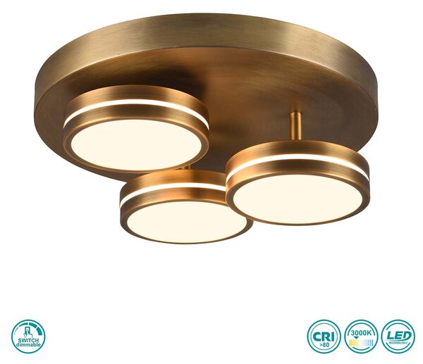 Φωτιστικό Οροφής Trio Lighting Franklin 626510304 Οξυντέ