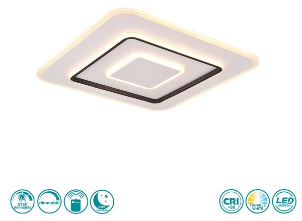 Φωτιστικό Οροφής RL Lighting Jora R64293931 Λευκό Ματ