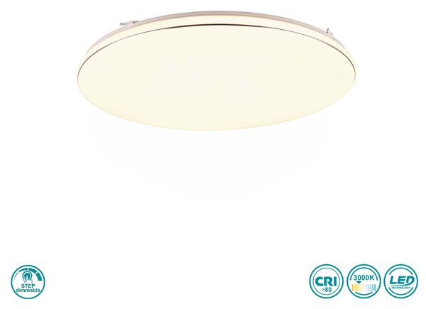 Φωτιστικό Οροφής RL Lighting Blanca R64141101 Λευκό