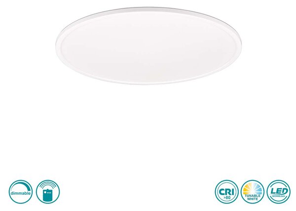 Φωτιστικό Οροφής RL Lighting Scott R64381031 Λευκό Ματ