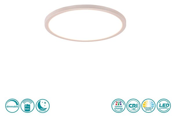 Φωτιστικό Οροφής RL Lighting Aureo R64371131 Λευκό Ματ