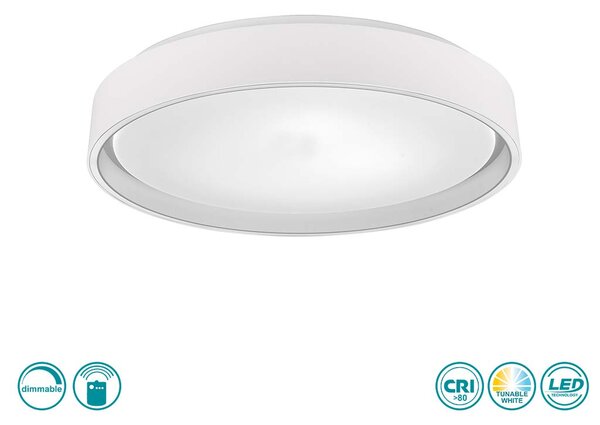 Φωτιστικό Οροφής RL Lighting Felis R64391031 Λευκό Ματ