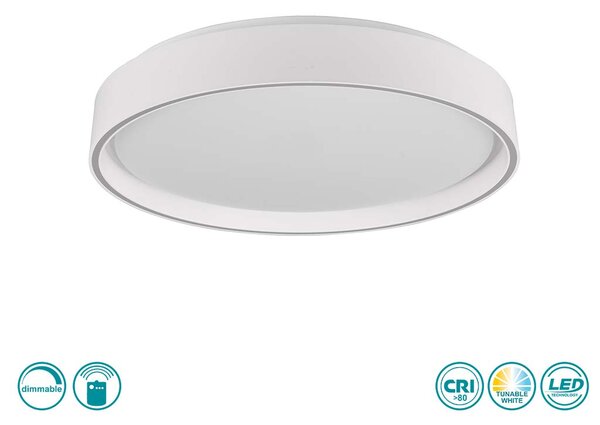 Φωτιστικό Οροφής RL Lighting Felis R64391031 Λευκό Ματ