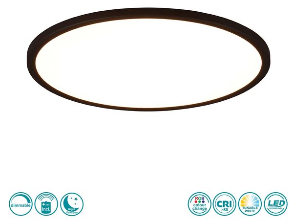 Φωτιστικό Οροφής RL Lighting Aureo R64371932 Μαύρο Ματ