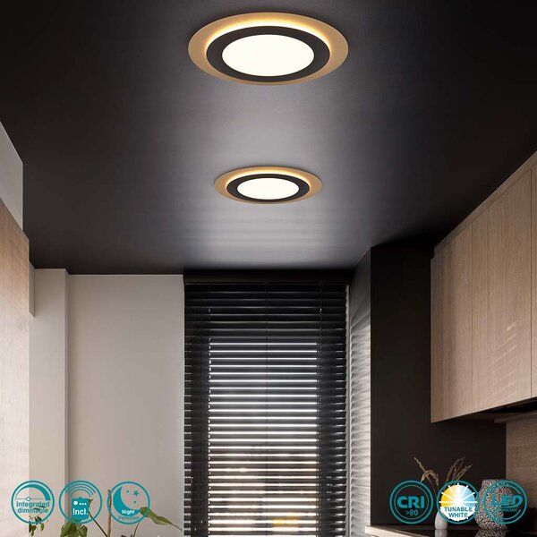 Φωτιστικό Οροφής Trio Lighting Morgan 641519280 Μαύρο Ματ με Χρυσό