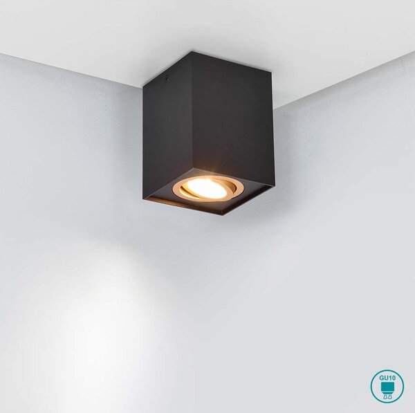 Σποτ Trio Lighting Biscuit 613000180 Μαύρο Ματ με Χρυσό