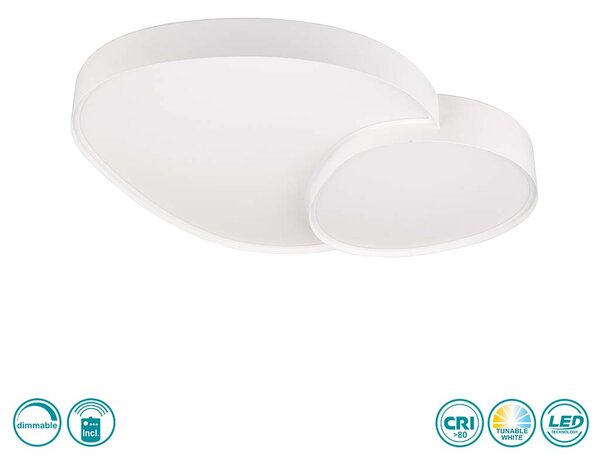 Φωτιστικό Οροφής Trio Lighting Rise 647519231 D77 Λευκό Ματ