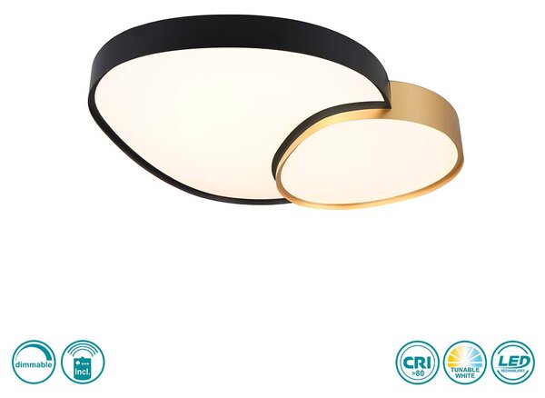 Φωτιστικό Οροφής Trio Lighting Rise 647519280 D77 Μαύρο με Χρυσό Ματ