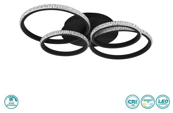 Φωτιστικό Οροφής RL Lighting Cires R67364132 Μαύρο