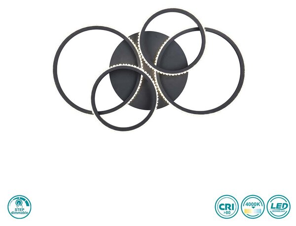 Φωτιστικό Οροφής RL Lighting Cires R67364132 Μαύρο