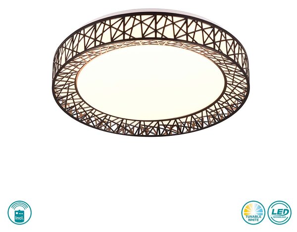 Φωτιστικό Οροφής RL Lighting Cluster R67321102 Μαύρο Ματ