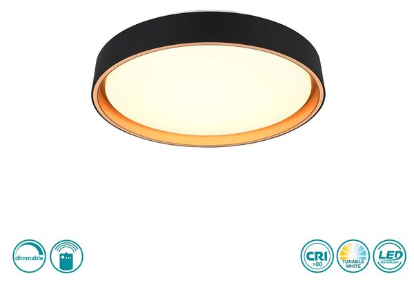 Φωτιστικό Οροφής RL Lighting Felis R64391080 Μαύρο Ματ