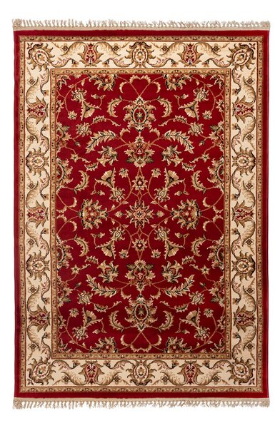 Χαλί (133x190) Βιοκαρπέτ Hamadan 511R