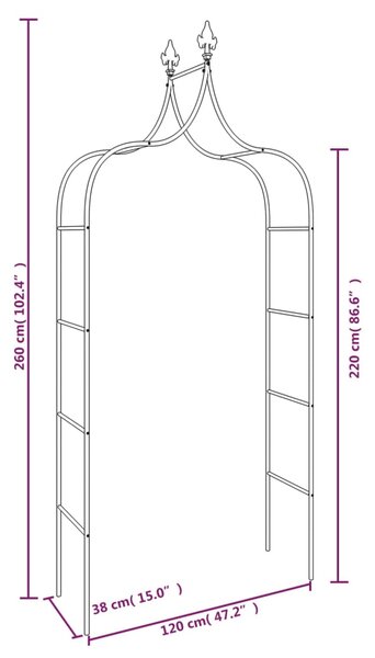 VidaXL Καμάρες Κήπου 2 τεμ. Μαύρες 120 x 38 x 260 εκ. από Ατσάλι