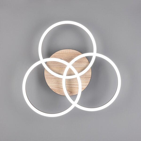 Reality Leuchten Φωτιστικό οροφής LED Circle 3-light με τηλεχειριστήριο ξύλο, ρυθμιζόμενος, Ξύλου, Σαλόνι / τραπεζαρία, Ξύλο, σύγχρονο