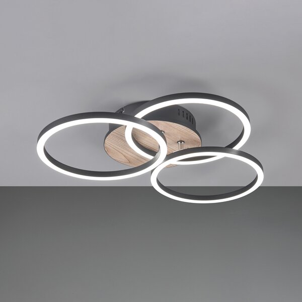 Reality Leuchten Φωτιστικό οροφής LED Circle 3-light με τηλεχειριστήριο ξύλο, ρυθμιζόμενος, Ξύλου, Σαλόνι / τραπεζαρία, Ξύλο, σύγχρονο