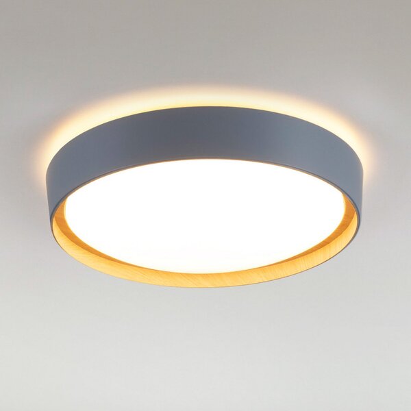 JUST LIGHT. GmbH Φωτιστικό οροφής LED Emilia, τριών φάσεων με δυνατότητα dimmable, γκρι, ρυθμιζόμενος, Γκρι, Σαλόνι / τραπεζαρία, Μέταλλο, σύγχρονο