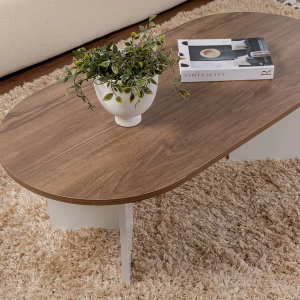 Τραπέζι Σαλονιού (119x60x40) A-G Sable 909NRD1111 Walnut/White