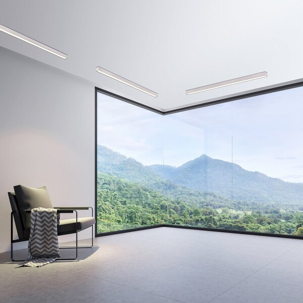 PURE LED φωτιστικό οροφής Lines, 110 cm, ασημί, CCT, τηλεχειριστήριο, ρυθμιζόμενος, Μεταλλικό, Σαλόνι / τραπεζαρία, Μέταλλο, σύγχρονο