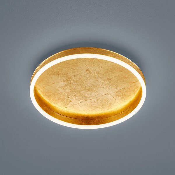 Helestra Sona LED φωτιστικό οροφής dimmable Ø40cm χρυσό, ρυθμιζόμενος, Χρυσό / Ορείχαλκου, Διάδρομος, Μέταλλο, σύγχρονο