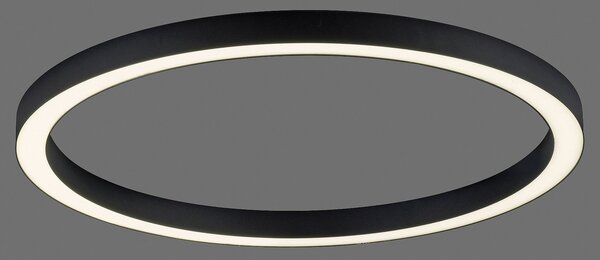 PURE LED φωτιστικό οροφής Lines, Ø 70 cm, ανθρακί, CCT, τηλεχειριστήριο, ρυθμιζόμενος, Μαύρο, Σαλόνι / τραπεζαρία, Μέταλλο, σύγχρονο