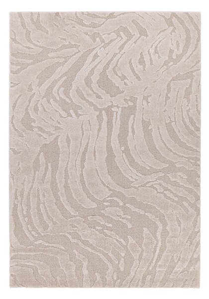Χαλί (160x230) Royal Carpet Cocoon 59615/055