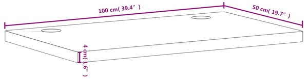 VidaXL Επιφάνεια Γραφείου 100x50x4 εκ. από Μασίφ Ξύλο Οξιάς