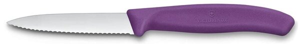 Μαχαίρι Γενικής Χρήσης Victorinox Swiss Classic με μήκος λεπίδας 8cm - Purple
