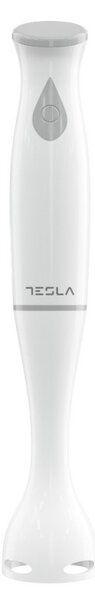 Ραβδομπλέντερ Tesla HB100WG, 200W, Μοτέρ DC, Λεπίδες από ανοξείδωτο χάλυβα, Λευκό χρώμα