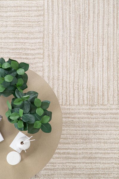 Μοντέρνο Χαλί Solid 1760 WHITE Royal Carpet - 160 x 230 cm